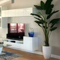 9-Foot Bird of Paradise with Shiny White Pot